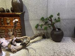 -纽斯桑拿会所(天山店)