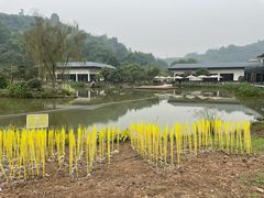 -张坝桂圆林公园
