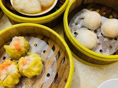 -肥佬夜茶(早茶·西乡店)