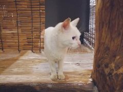 -驿舍·民國老营房院子私房菜(科学会堂店)