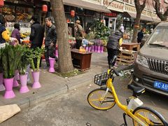 -宝鸡东道花鸟鱼虫市场(吉利花园商场店)