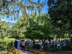 -庐山风景区花径公园