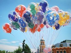 -上海迪士尼度假区