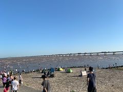-南汇新城海滩