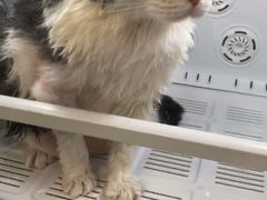 -拜鲁耶动物诊疗中心·宠家动物医院