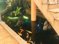 -荔城生鲜盛宴(番禺旗舰店)