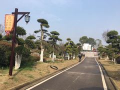 -武汉紫薇都市田园