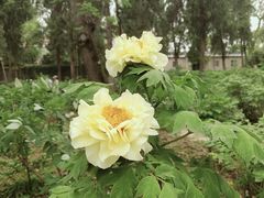 -陈记生蚝烧烤炒菜火锅