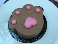 猫爪蛋糕-喵屿·大理花园猫咖