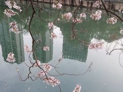 -红星桥(地铁站)