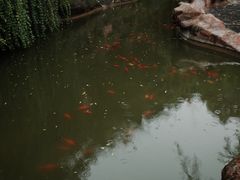 -东坡赤壁风景名胜区