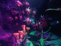 -沈阳海洋探索中心