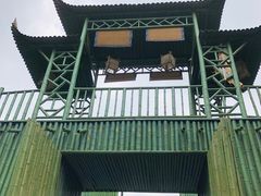 -天下银坑