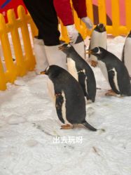 -第五极儿童乐园