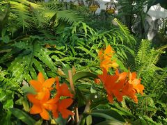 -国家植物园南园