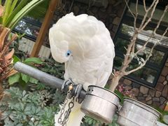 -南宫五洲植物乐园