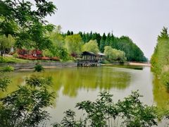 -黄海国家森林公园