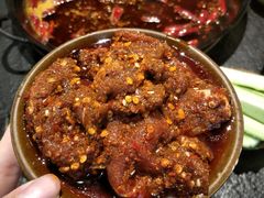 -胖碗火锅(观音桥店)