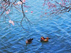 -颐和园
