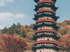 -牛首山文化旅游区