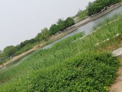 -永定河休闲森林公园