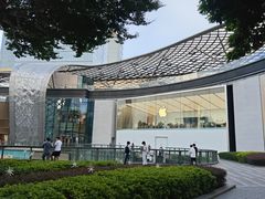 -小炳胜(天环店)