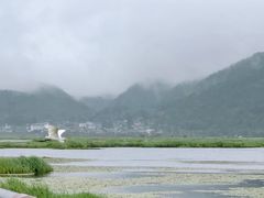 -腾冲北海湿地