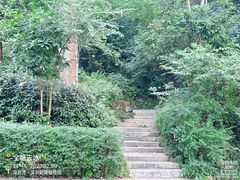-深圳仙湖植物园
