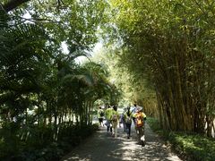 -大湾区中央湿地公园