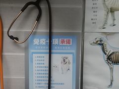 -芭比堂动物医院·心脏科·老年急重症·夜诊·吉雅分院