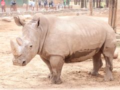 -北京野生动物园