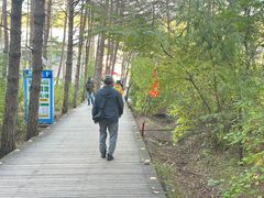 -帽儿山国家森林公园