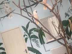 -长春农博园