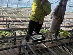 -晶宝温泉农庄