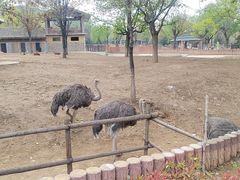 -石家庄市动物园