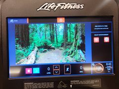 -丽思卡尔顿酒店泳池(金融街店)