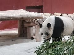 -杭州野生动物世界