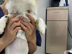 -莘程宠物医院(金山店)