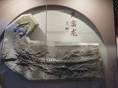 -贵州省地质博物馆