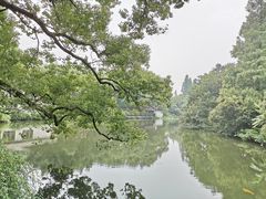 -柳浪闻莺公园