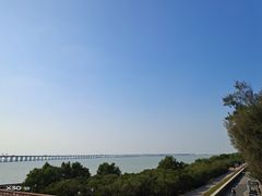 -宝安西湾红树林湿地公园