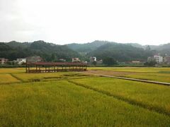 -红山村