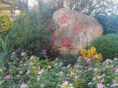 -滴水岩森林公园