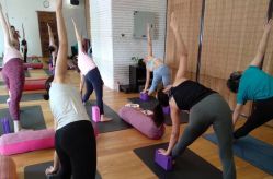 -Just Yoga 瑜伽·阿育吠陀