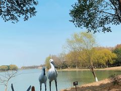 -苏州太湖国家湿地公园