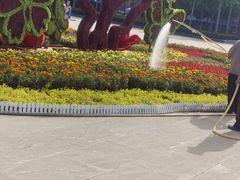 -石家庄市植物园