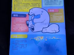 -上海海昌海洋公园-冰山北极馆