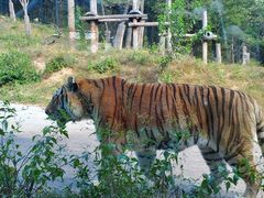 -大连森林动物园