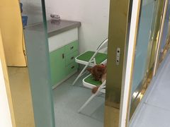 -汪喵宠物医院·骨科心脏影像·犬猫急重症ICU诊疗中心(成华分院)
