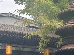 -魏家凉皮(博水商务大厦店)